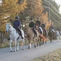 Święty Marcin na Stawach w Bełsznicy (4)