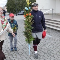 Palmy 2022 (2)