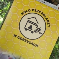 I Święto Pszczoły i Dzień Dziecka w GCK Gorzyce (2)