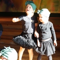 Wielkie taneczne SHOW Let,s Dance  (4)
