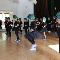 Wielkie taneczne SHOW Let,s Dance  (9)