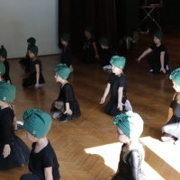 Wielkie taneczne SHOW Let,s Dance  (1)