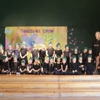 Wielkie taneczne SHOW Let,s Dance  (2)