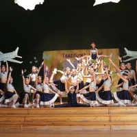 Wielkie taneczne SHOW Let,s Dance  (8)