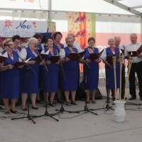 Noc Świętojańska w Olzie (7)