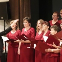 Koncert Noworoczny w Czyżowicach (4)