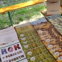 Dzień Dziecka - WSZYSTKO DLA DZIECI w Ośrodku Kultury w Gorzycach (7)
