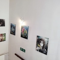 galeria