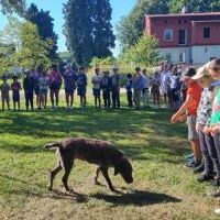 Wycieczka do lasu czyżowickiego (7)