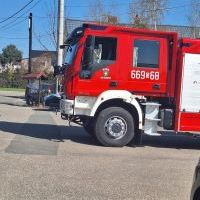 XX Przegląd Palm Wielkanocnych w Gminie Gorzyce (1)