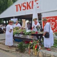 Noc Świętojańska w Olzie_2025 (2)