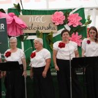 Noc Świętojańska w Olzie_2025 (9)