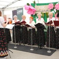 Noc Świętojańska w Olzie_2025 (2)