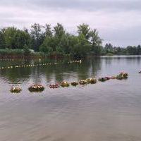 Noc Świętojańska w Olzie_2025 (10)