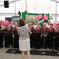 Noc Świętojańska w Olzie_2025 (11)