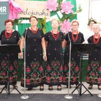 Noc Świętojańska w Olzie_2025 (2)