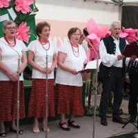 Noc Świętojańska w Olzie_2025 (11)