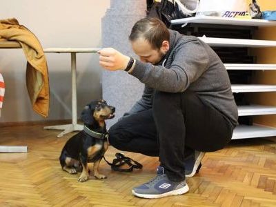 Psie zajęcia w Świetlicy Wiejskiej w Odrze (10)