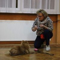 Psie zajęcia w Świetlicy Wiejskiej w Odrze (6)