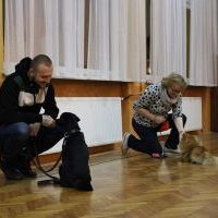 Psie zajęcia w Świetlicy Wiejskiej w Odrze (8)