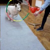 Psie zajęcia w Świetlicy Wiejskiej w Odrze (9)