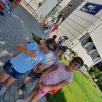 LwT (9)