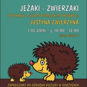 Jeżaki - zwierzaki.